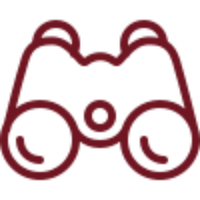 Discover icon